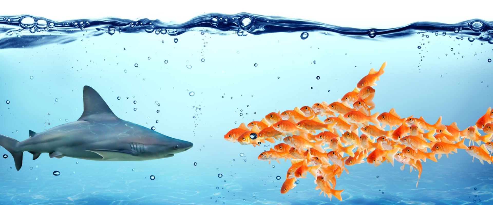 Why You Should Invest in a Small Digital Marketing Agency