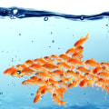 Why You Should Invest in a Small Digital Marketing Agency