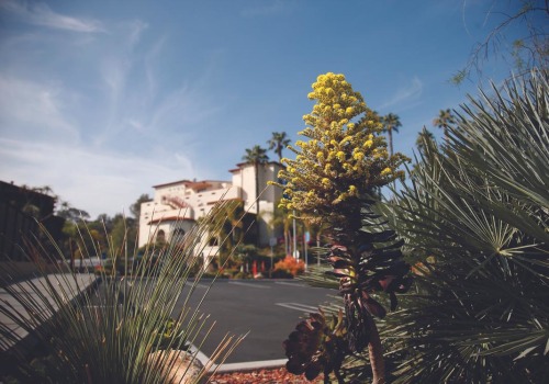Finest Private School In Brentwood CA