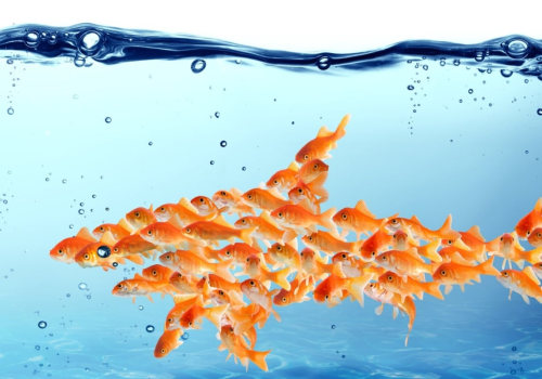Why You Should Invest in a Small Digital Marketing Agency